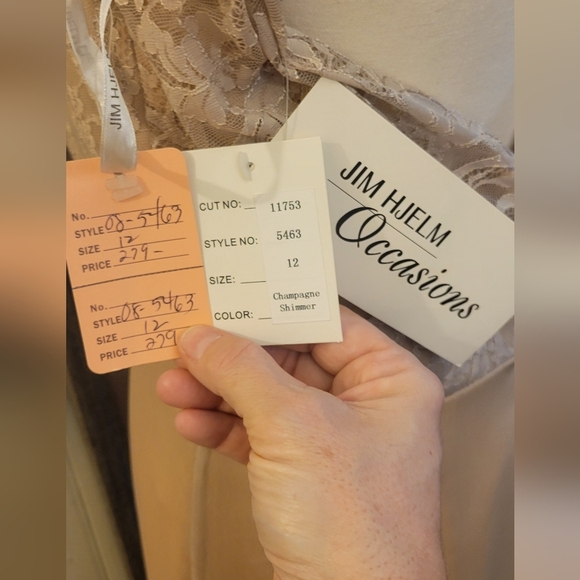 Jim Hjelm Champagne Shimmer Dress - Picture 4 of 4